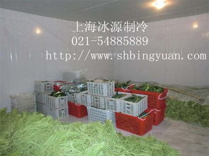 陜西果蔬冷庫報價