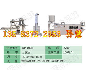 廊坊盛隆食品機(jī)械 高品質(zhì)仿手工豆腐皮成套機(jī)械設(shè)備優(yōu)選
